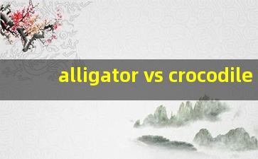 alligator vs crocodile